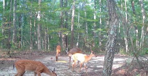 0 Valley View Drive Altamont TN 37301