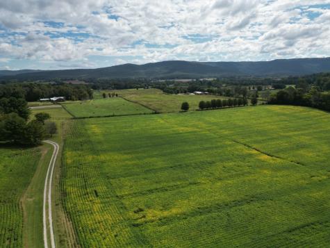 0 Holders Cove Road Winchester TN 37398