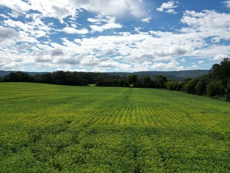 0 Holders Cove Road Winchester TN 37398