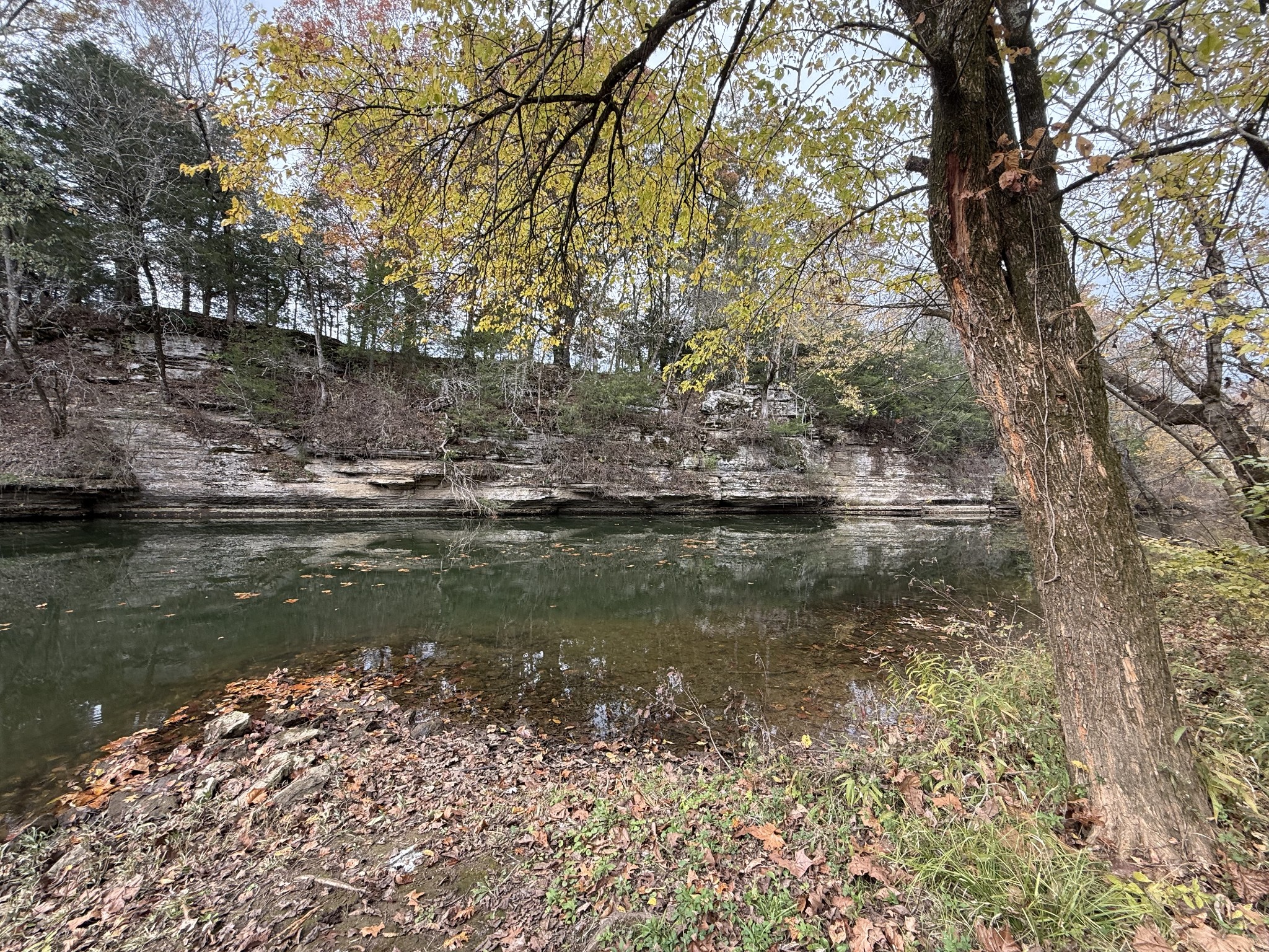 1002 Lock 5 Road Lebanon TN 37087