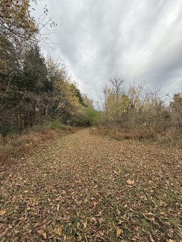 1002 Lock 5 Road Lebanon TN 37087