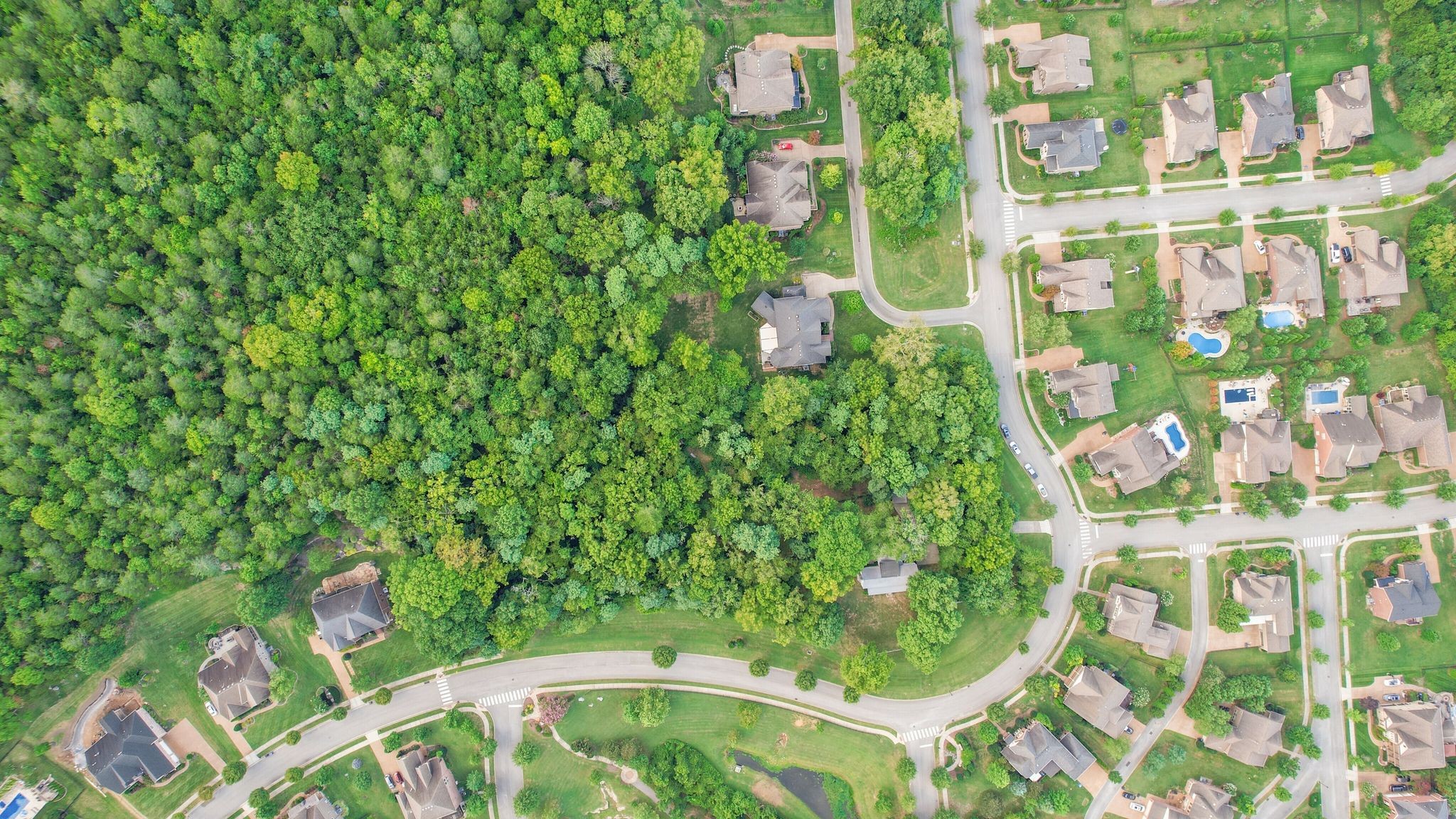 3201 Herbert Drive Franklin TN 37067