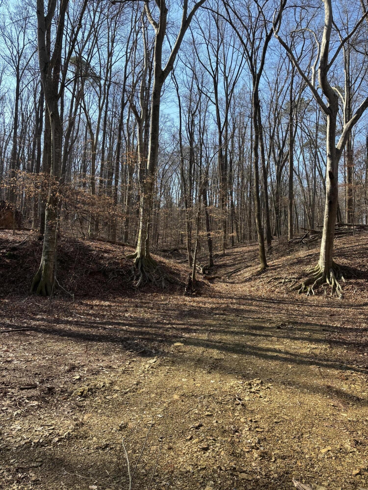 0 Johnson Road SE Road, SE Cleveland TN 37323