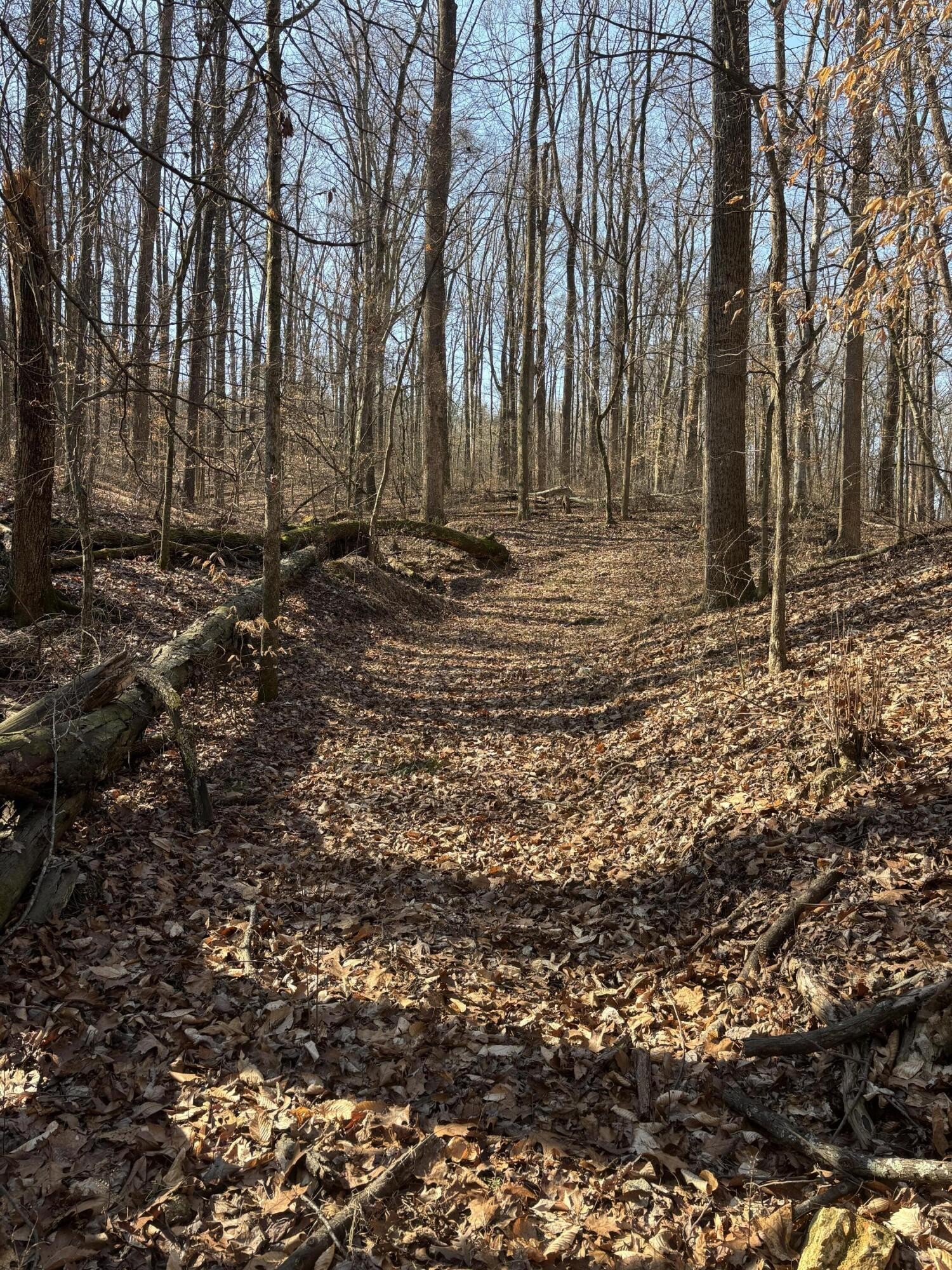 0 Johnson Road SE Road, SE Cleveland TN 37323