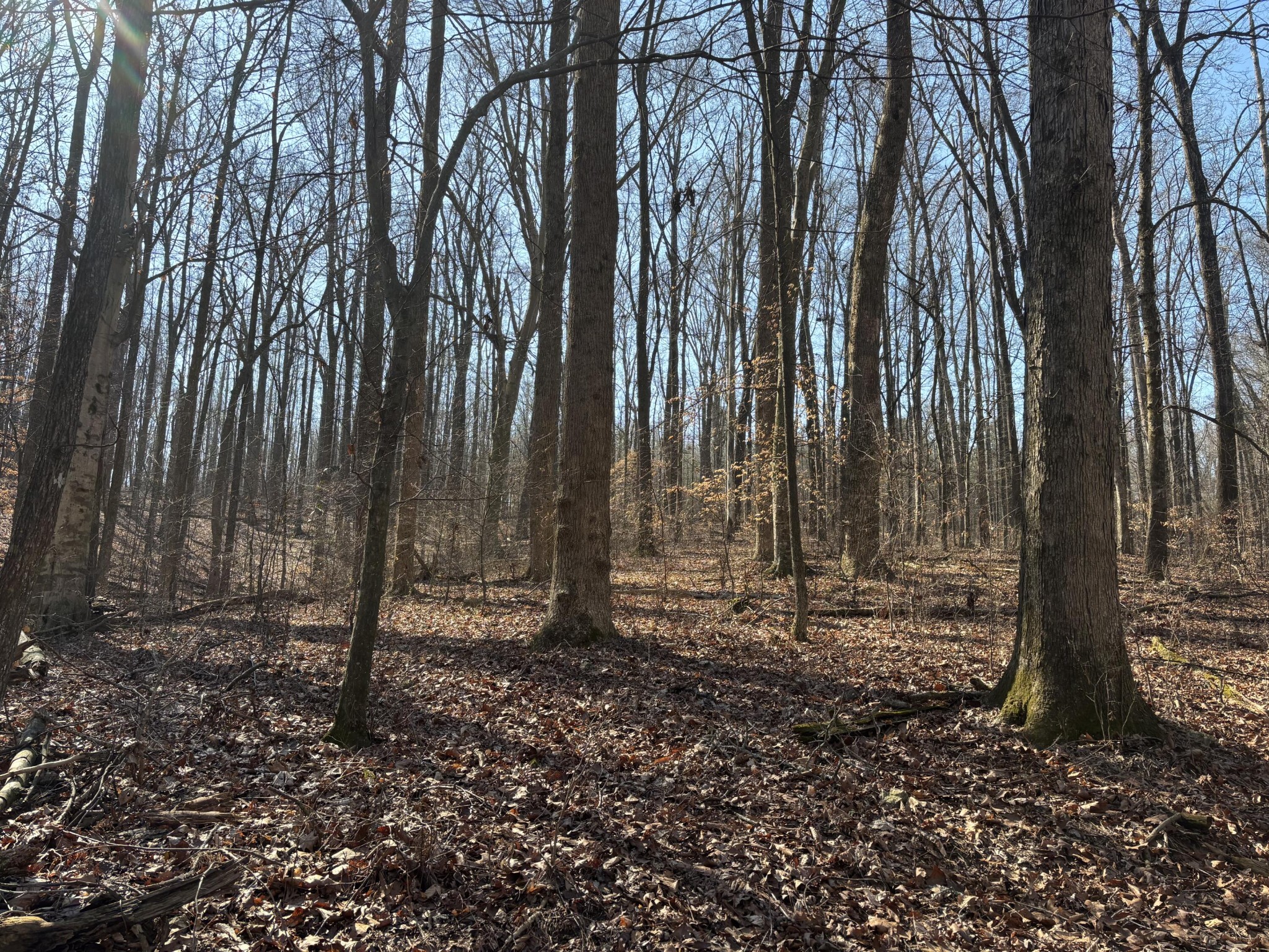 0 Johnson Road SE Road, SE Cleveland TN 37323