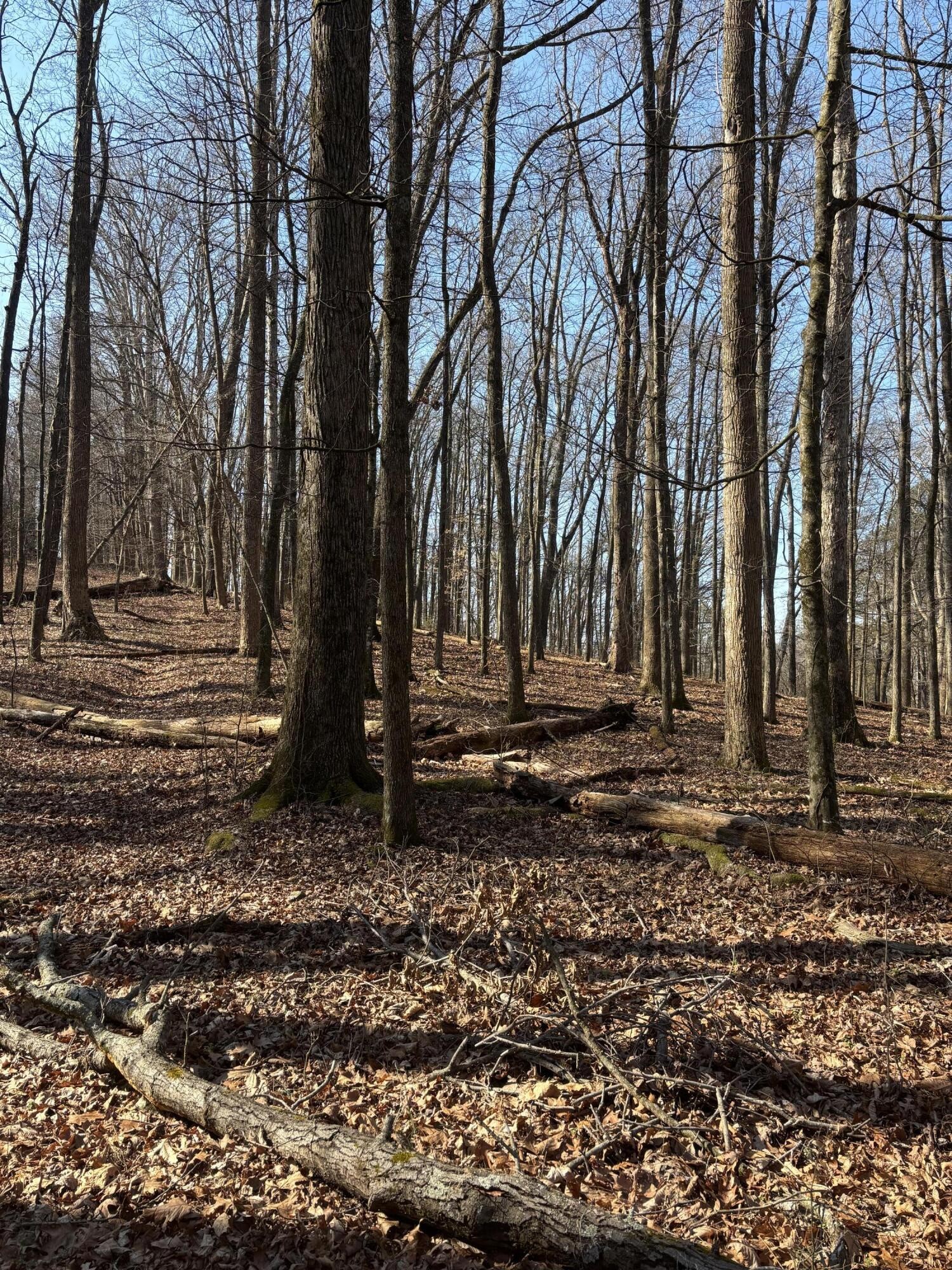 0 Johnson Road SE Road, SE Cleveland TN 37323