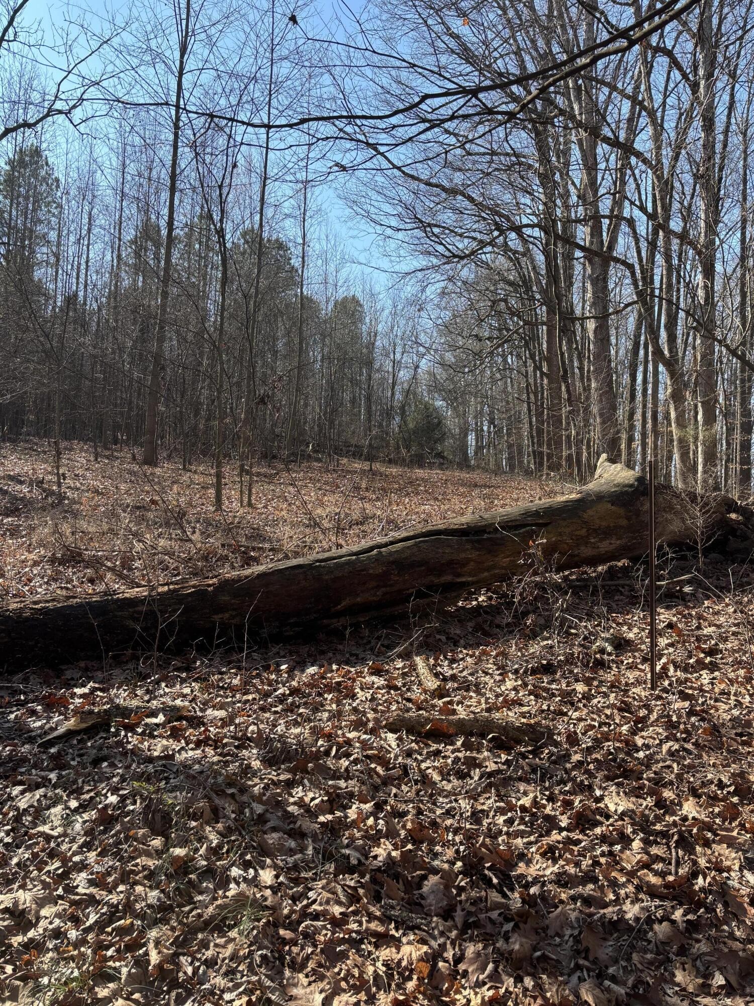 0 Johnson Road SE Road, SE Cleveland TN 37323