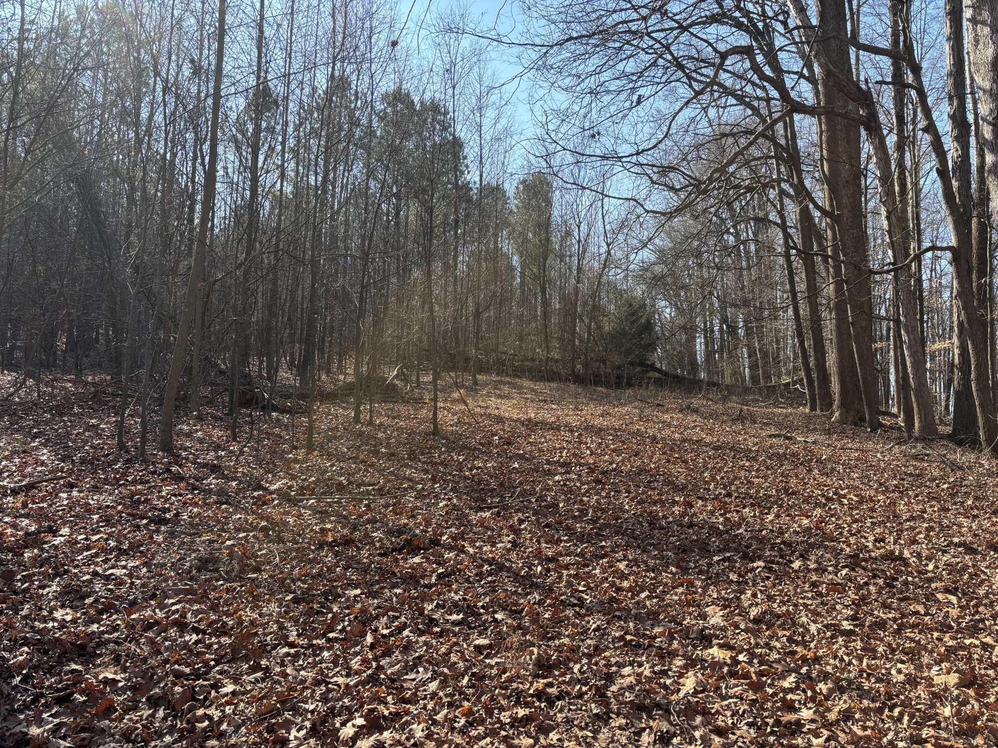 0 Johnson Road SE Road, SE Cleveland TN 37323