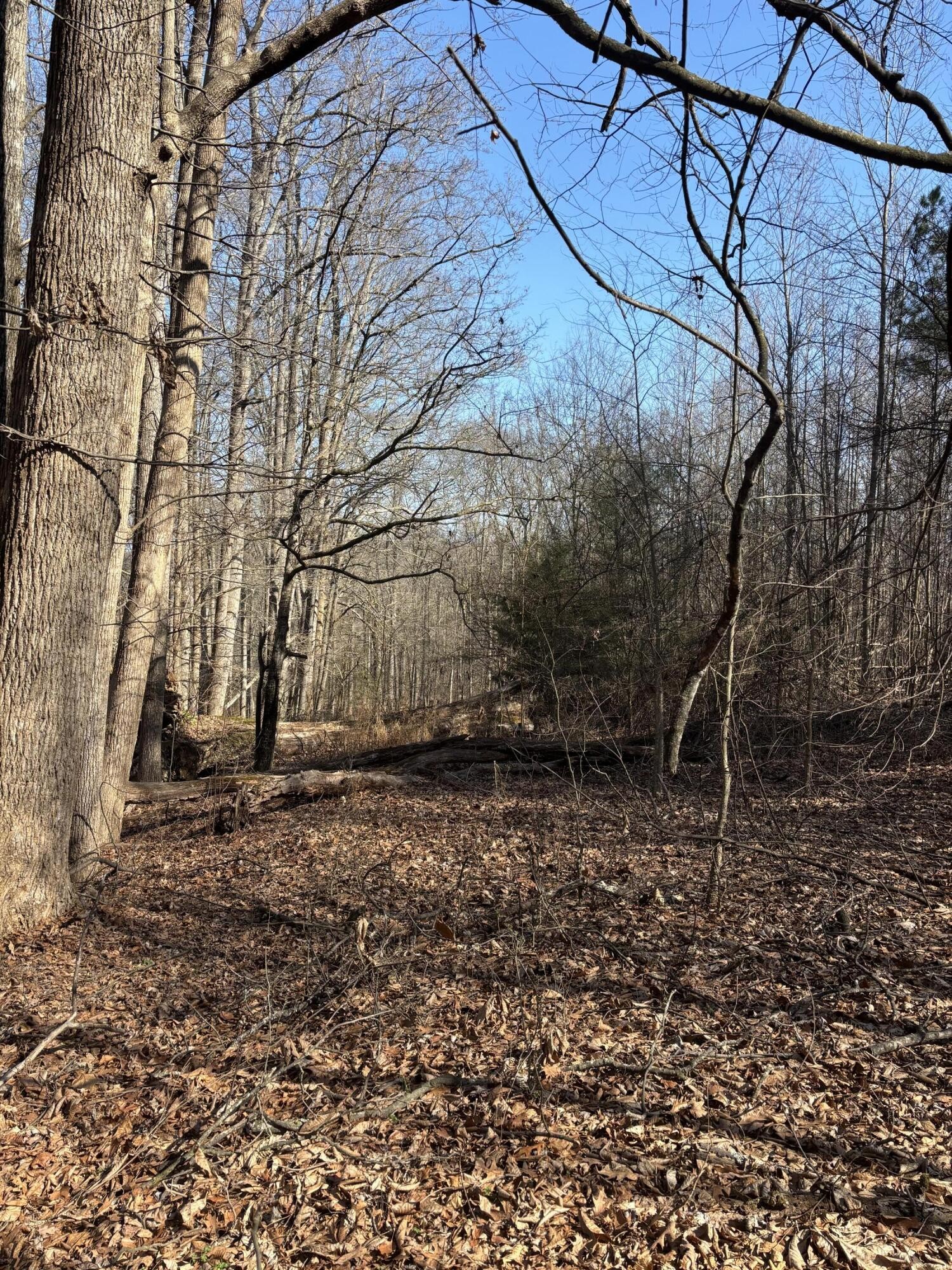 0 Johnson Road SE Road, SE Cleveland TN 37323