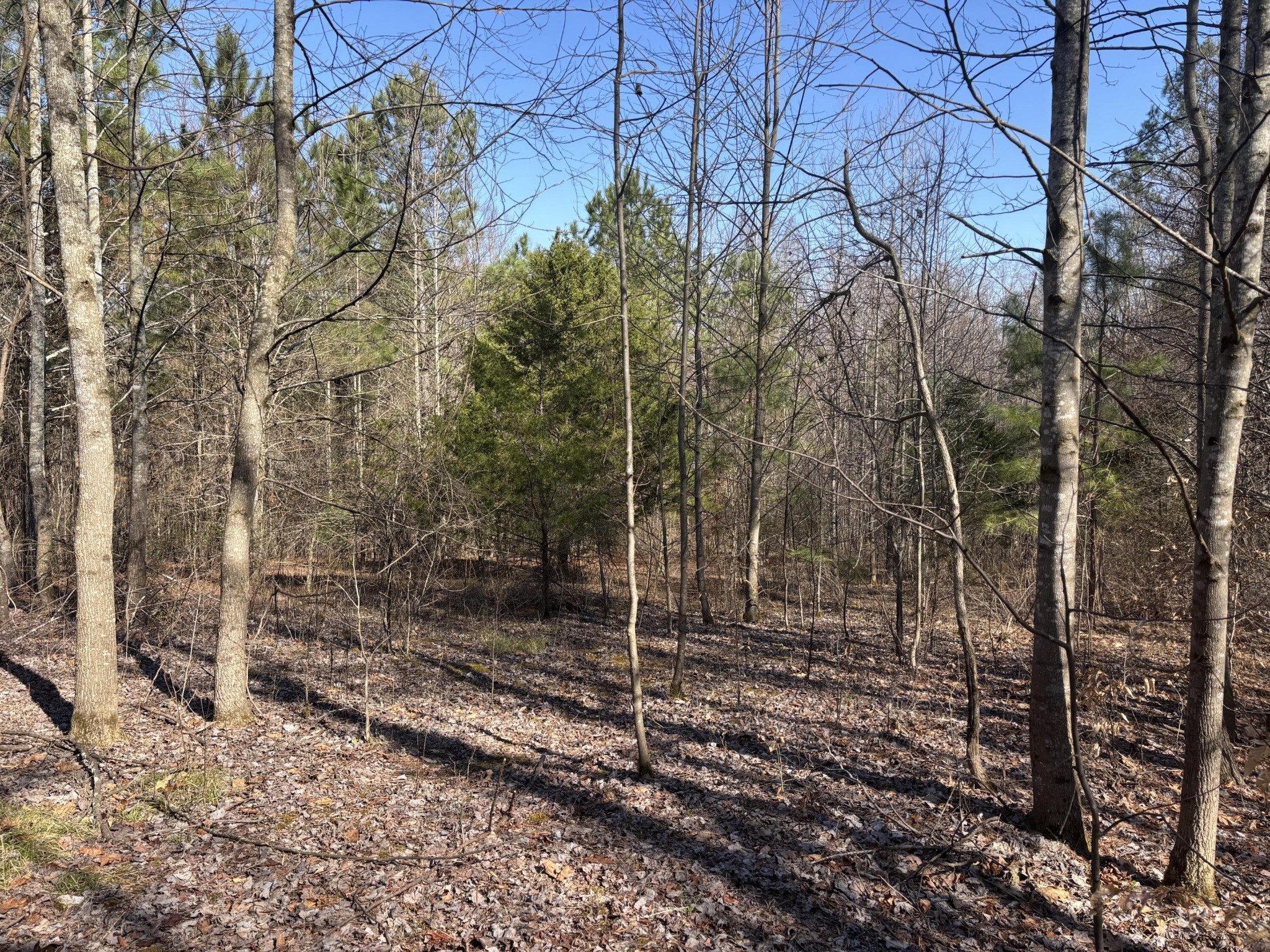 0 Johnson Road SE Road, SE Cleveland TN 37323