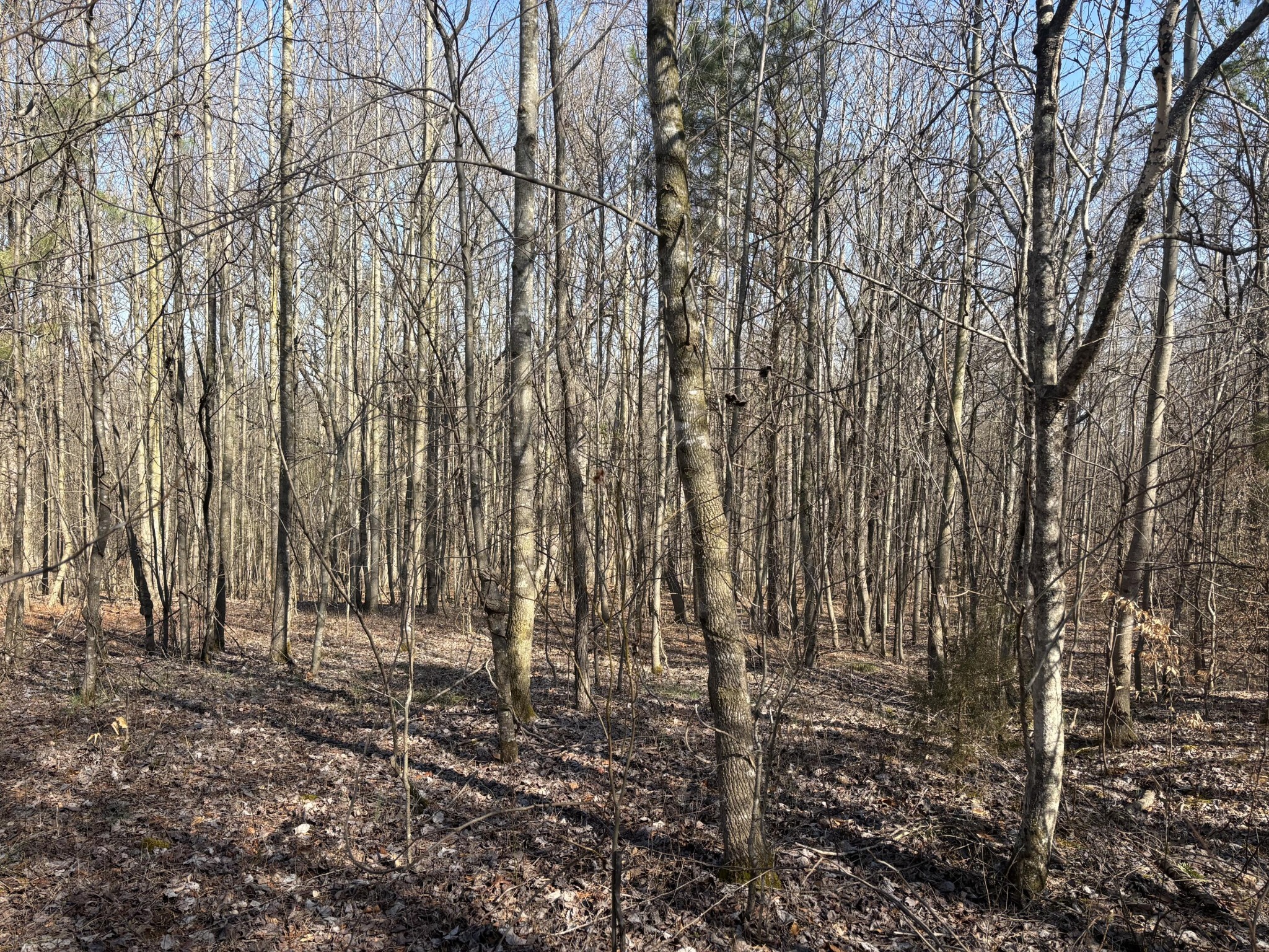 0 Johnson Road SE Road, SE Cleveland TN 37323