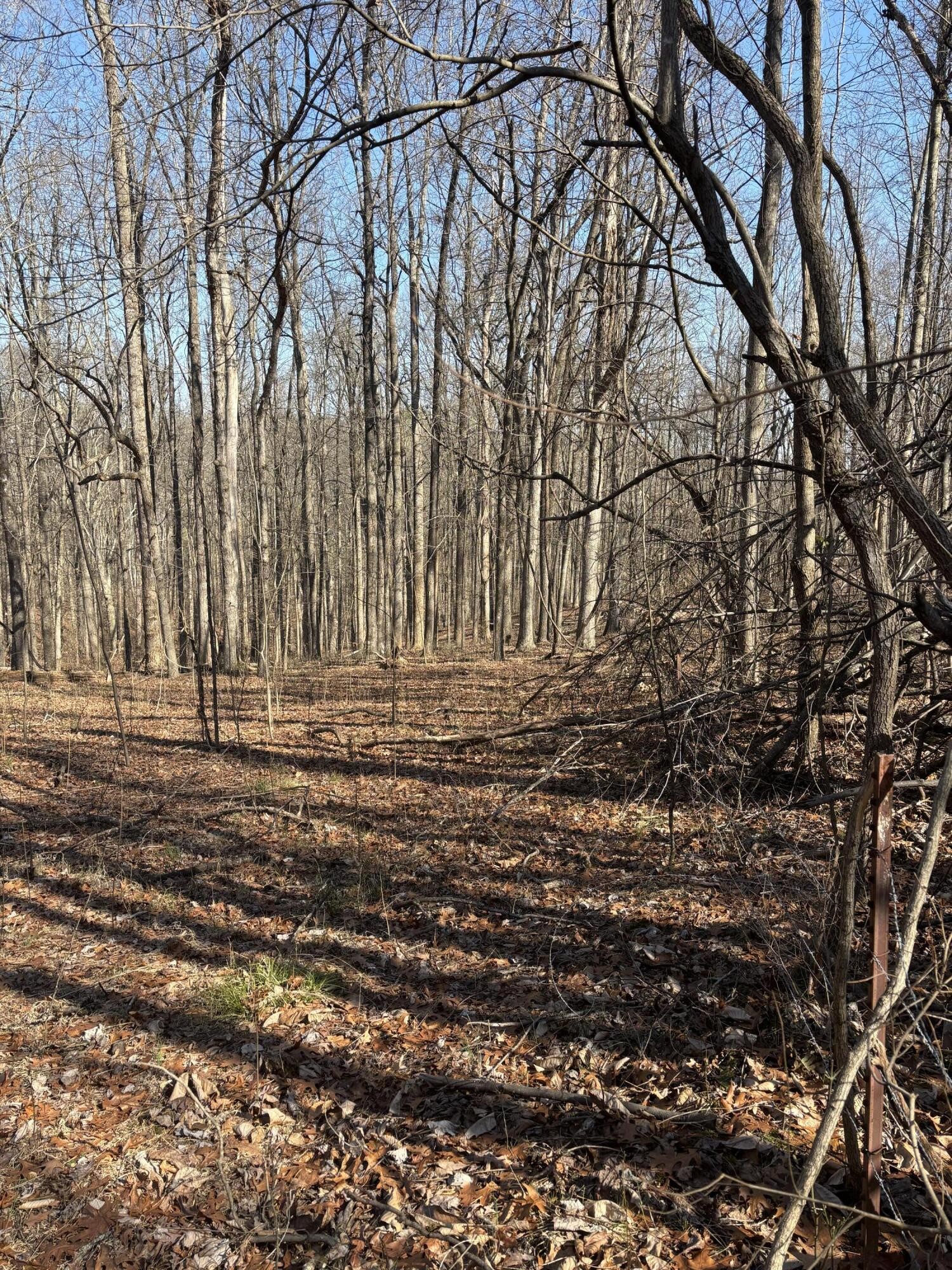 0 Johnson Road SE Road, SE Cleveland TN 37323