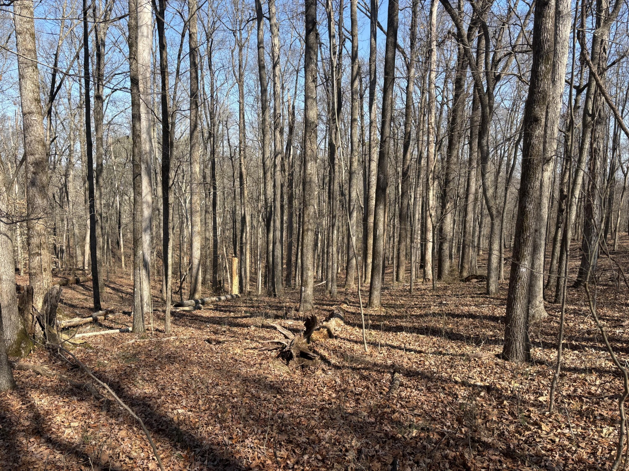 0 Johnson Road SE Road, SE Cleveland TN 37323