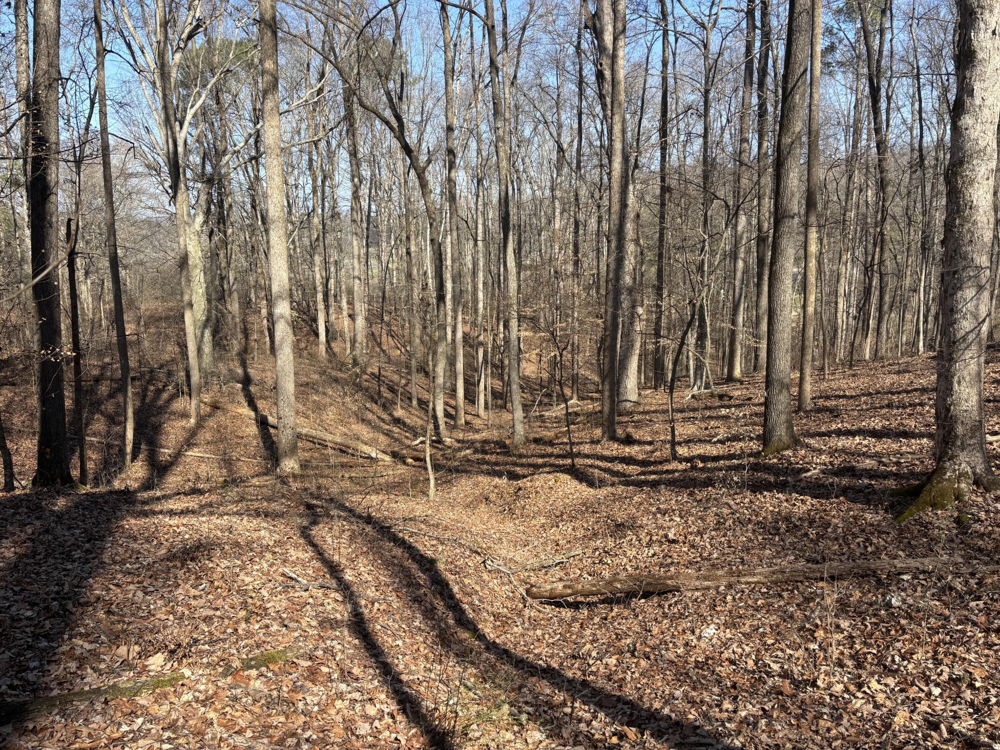 0 Johnson Road SE Road, SE Cleveland TN 37323