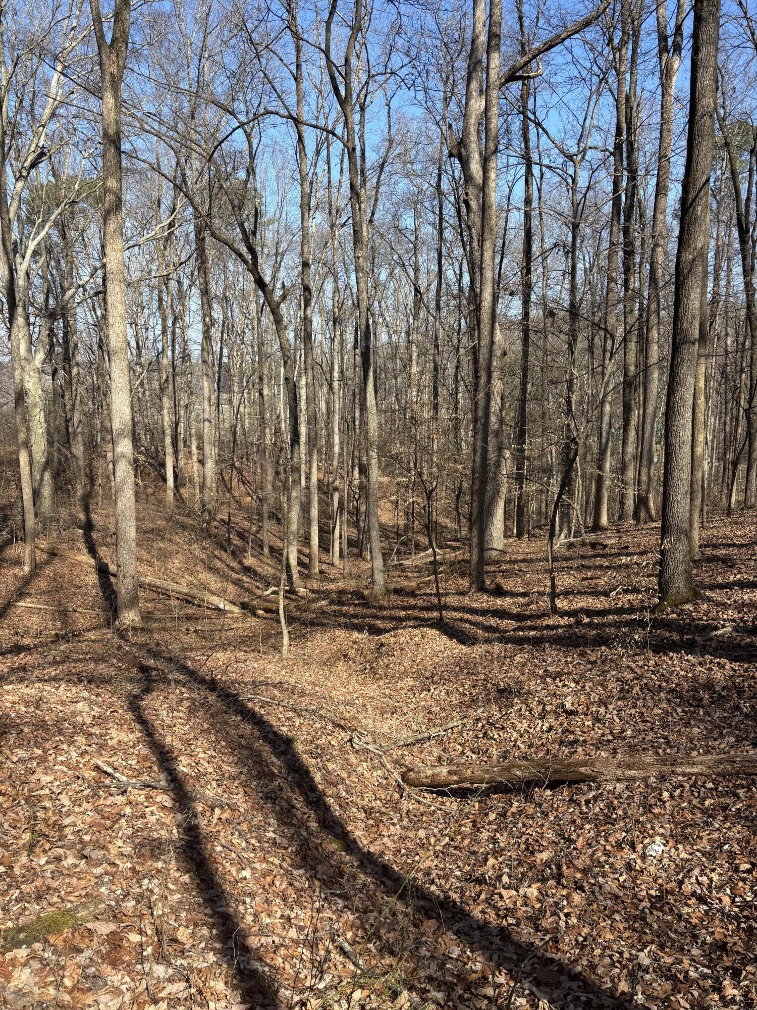 0 Johnson Road SE Road, SE Cleveland TN 37323