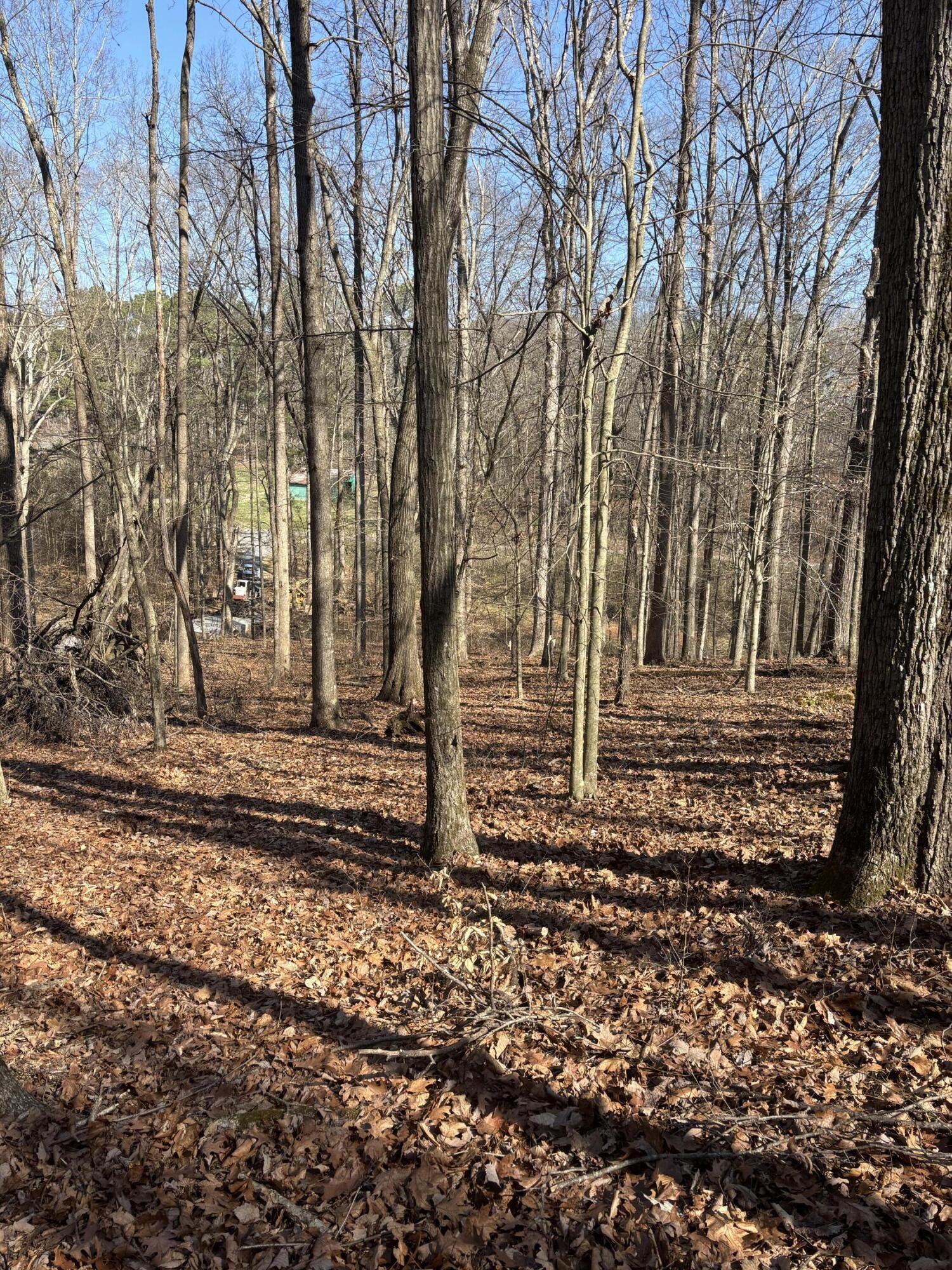 0 Johnson Road SE Road, SE Cleveland TN 37323