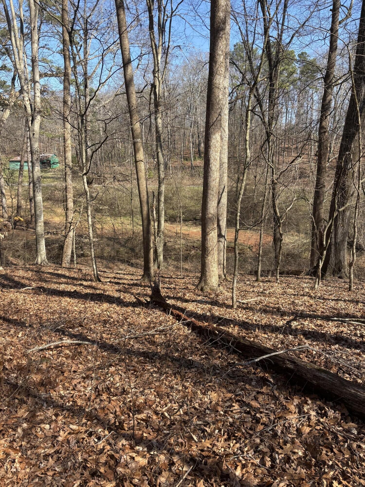 0 Johnson Road SE Road, SE Cleveland TN 37323