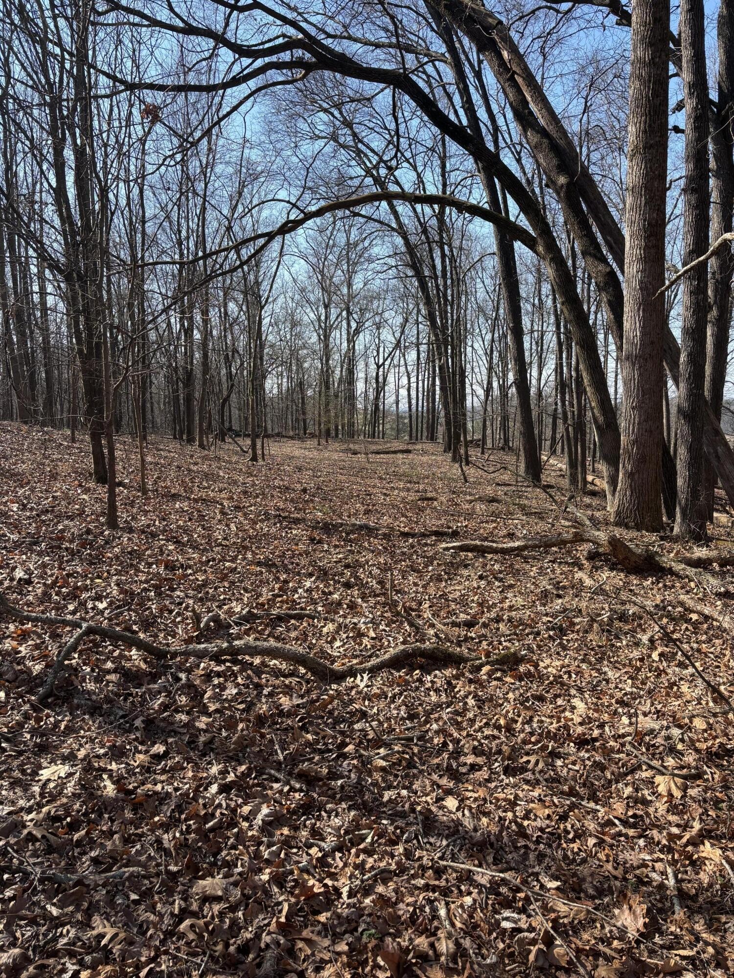 0 Johnson Road SE Road, SE Cleveland TN 37323