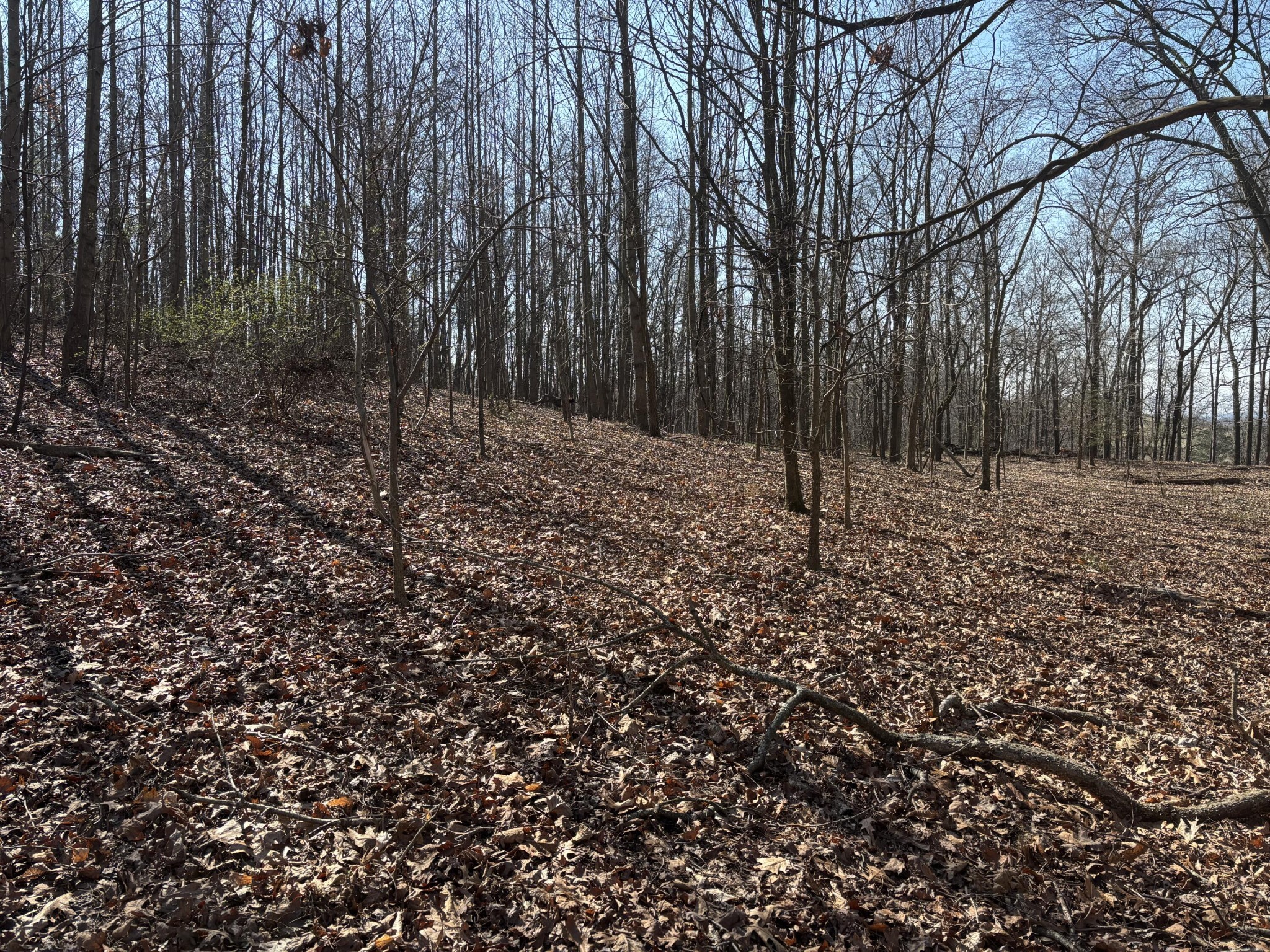 0 Johnson Road SE Road, SE Cleveland TN 37323