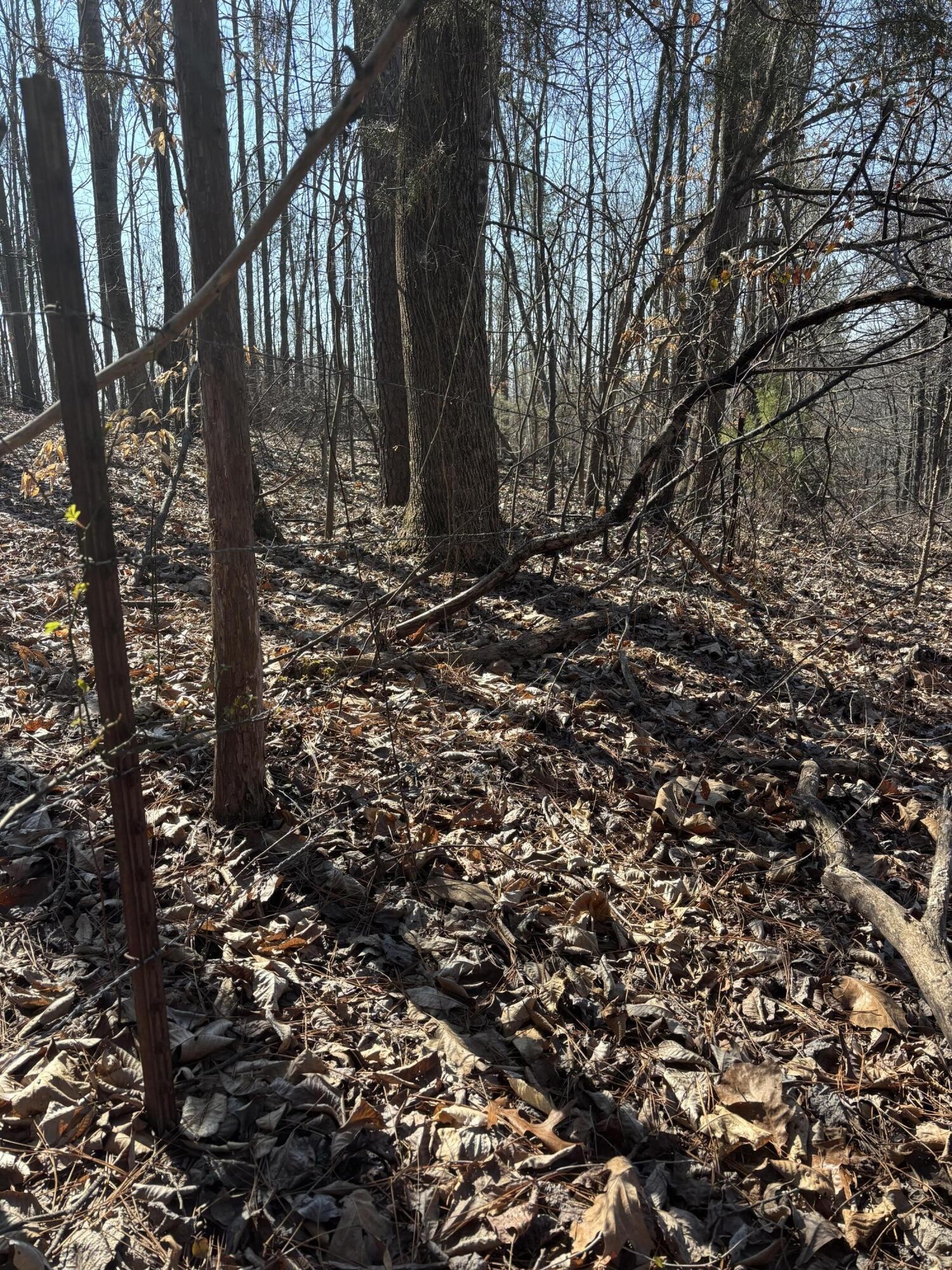 0 Johnson Road SE Road, SE Cleveland TN 37323