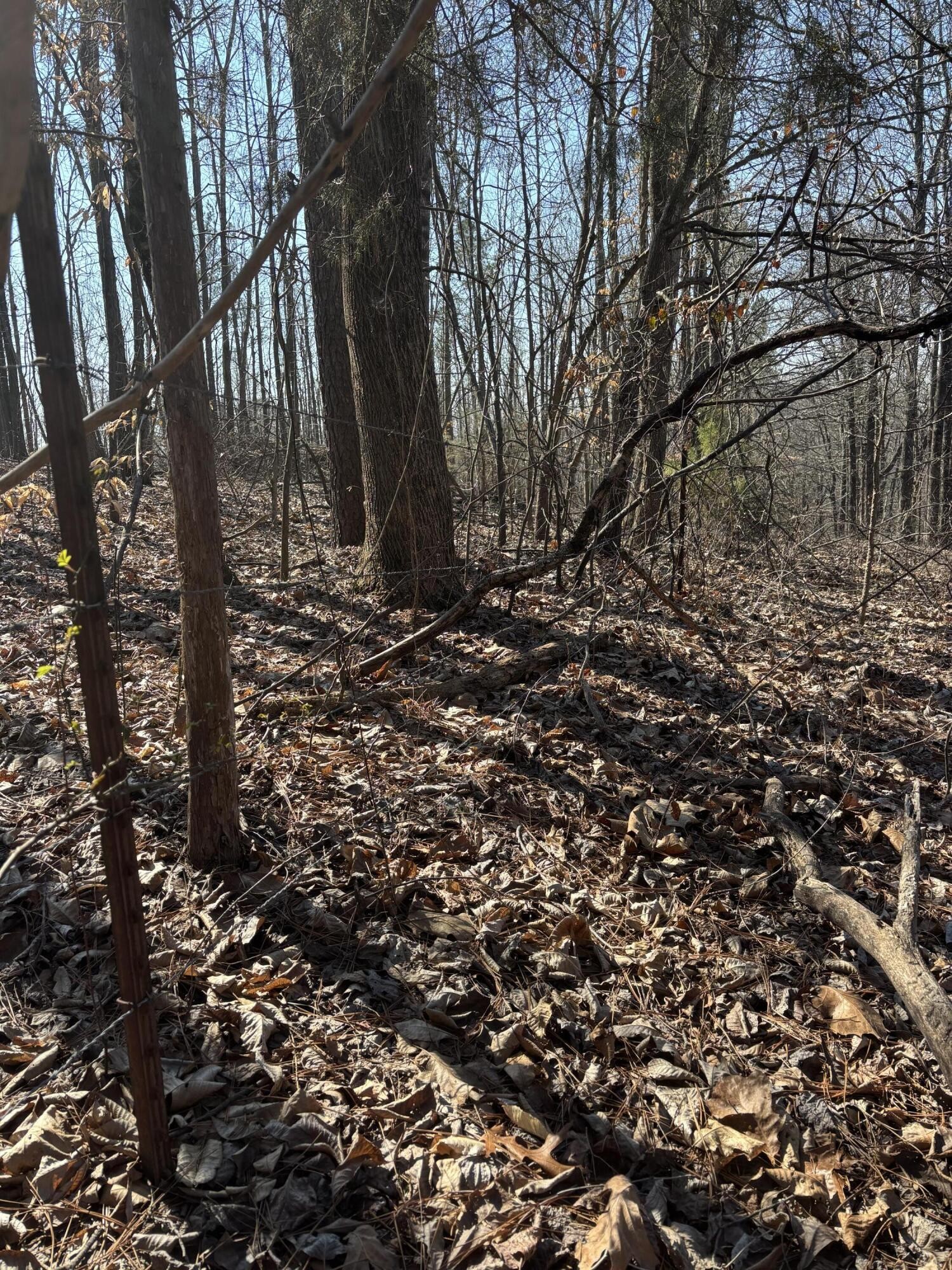 0 Johnson Road SE Road, SE Cleveland TN 37323