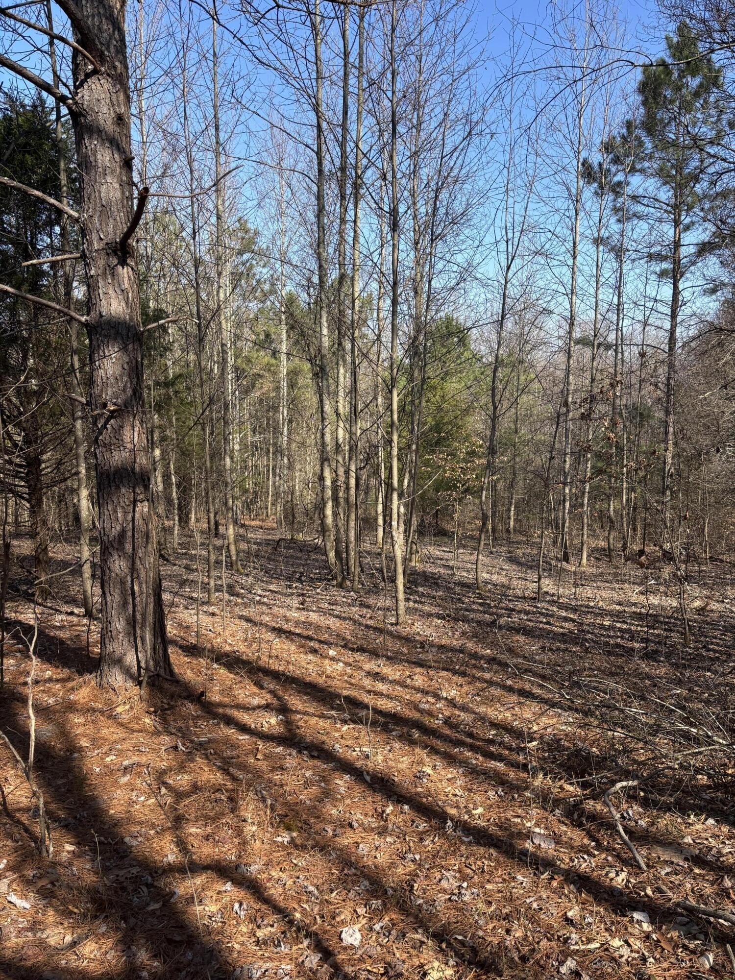 0 Johnson Road SE Road, SE Cleveland TN 37323
