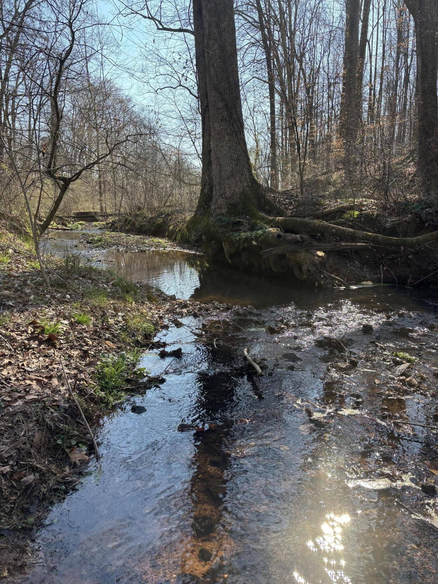 0 Johnson Road SE Road, SE Cleveland TN 37323