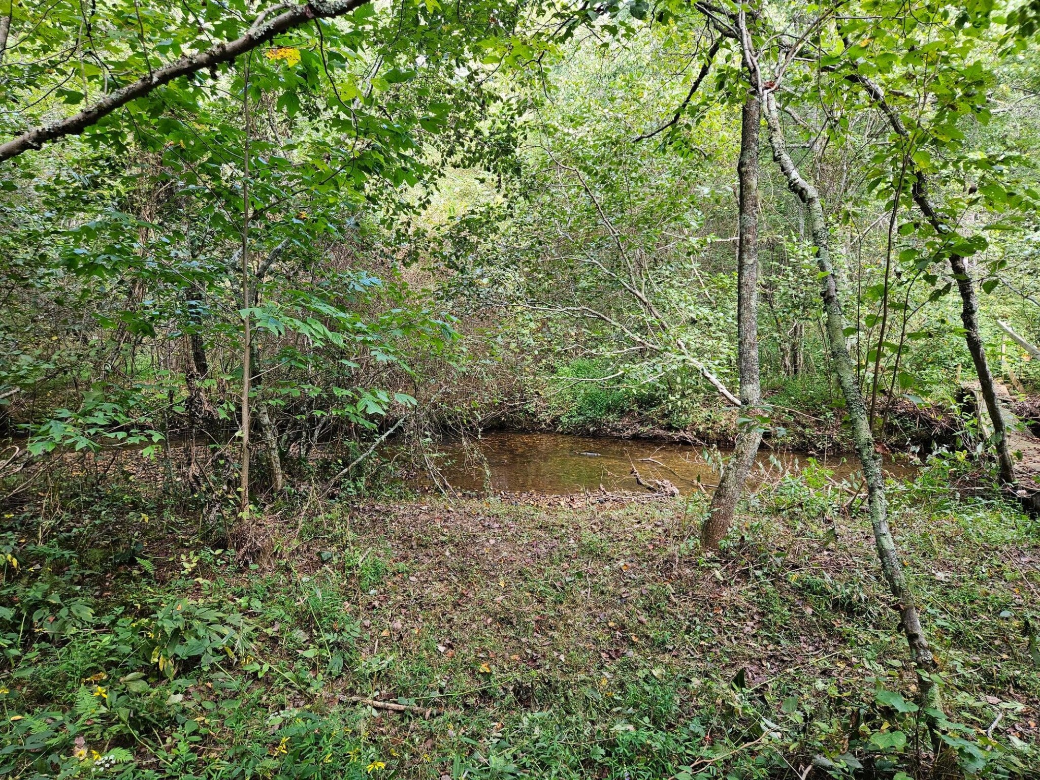 0 Golf Course Road Copperhill TN 37317