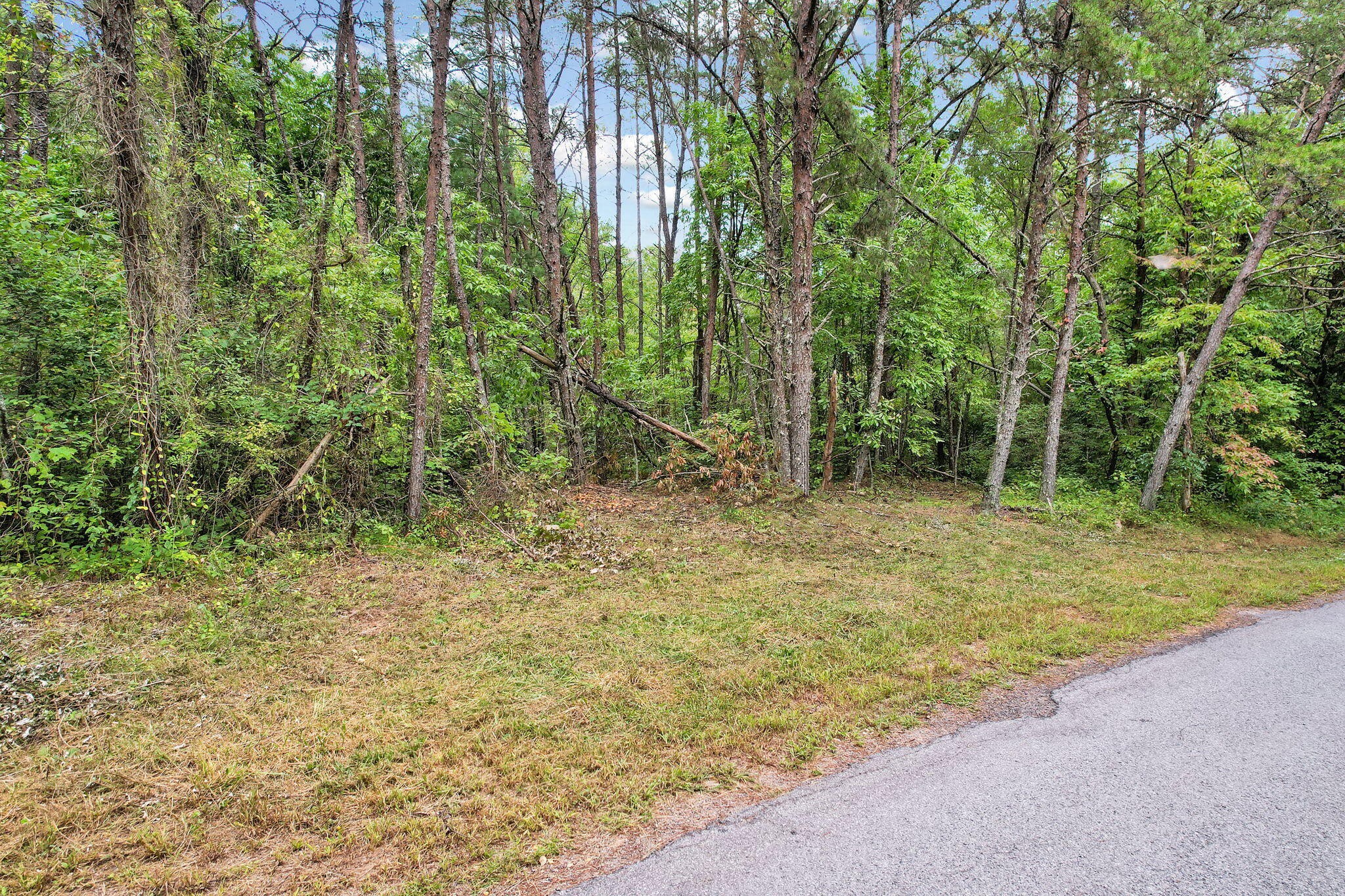 0 Golf Course Road Copperhill TN 37317