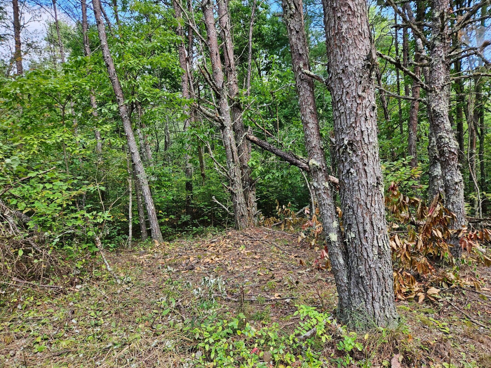 0 Golf Course Road Copperhill TN 37317