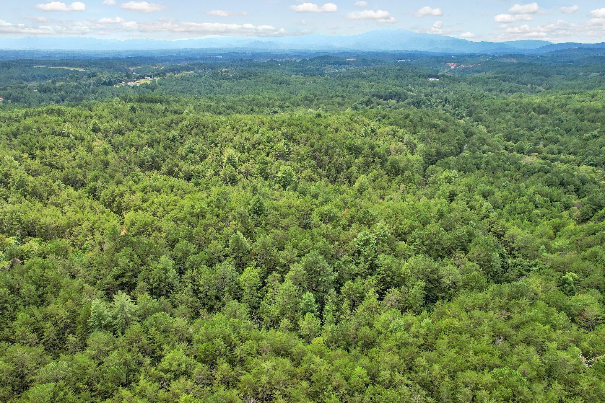 0 Golf Course Road Copperhill TN 37317