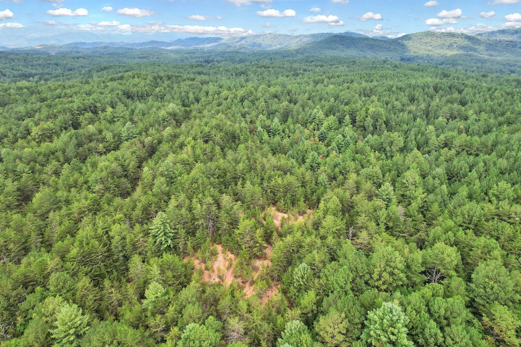 0 Golf Course Road Copperhill TN 37317