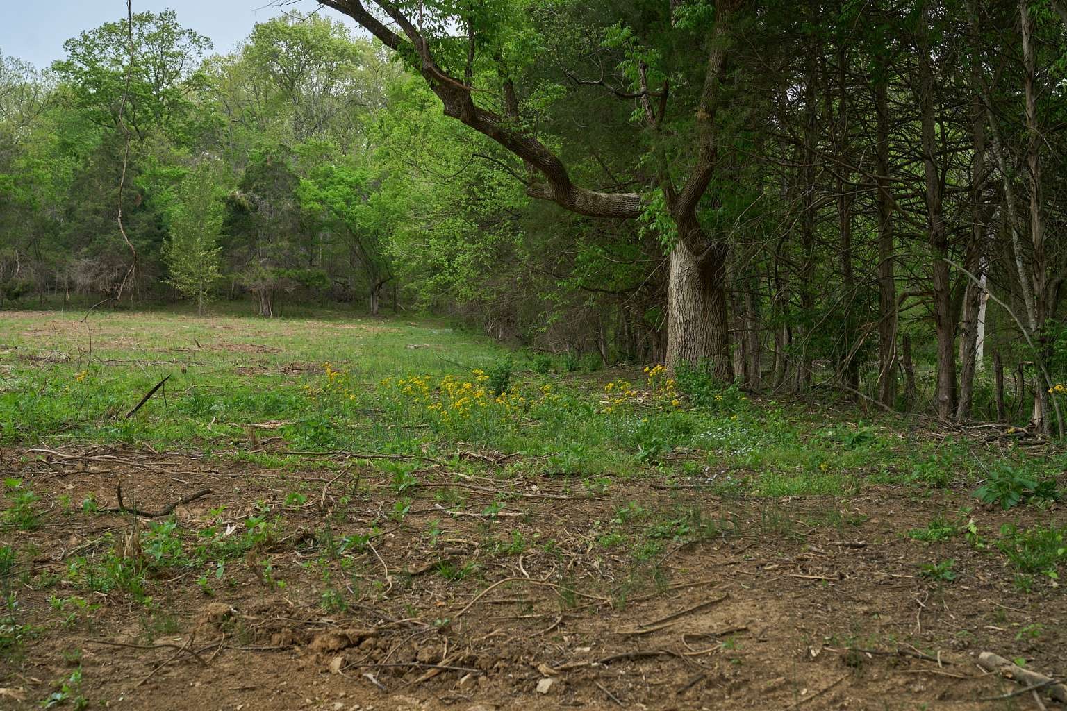 2186 Ingram Road Whites Creek TN 37189
