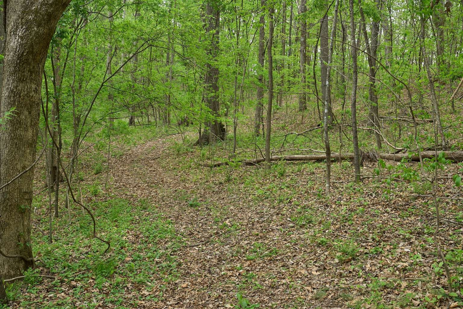 2186 Ingram Road Whites Creek TN 37189