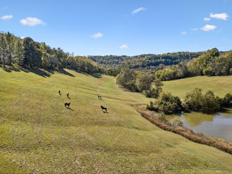 2846 Fuller Hollow Road Cornersville TN 37047