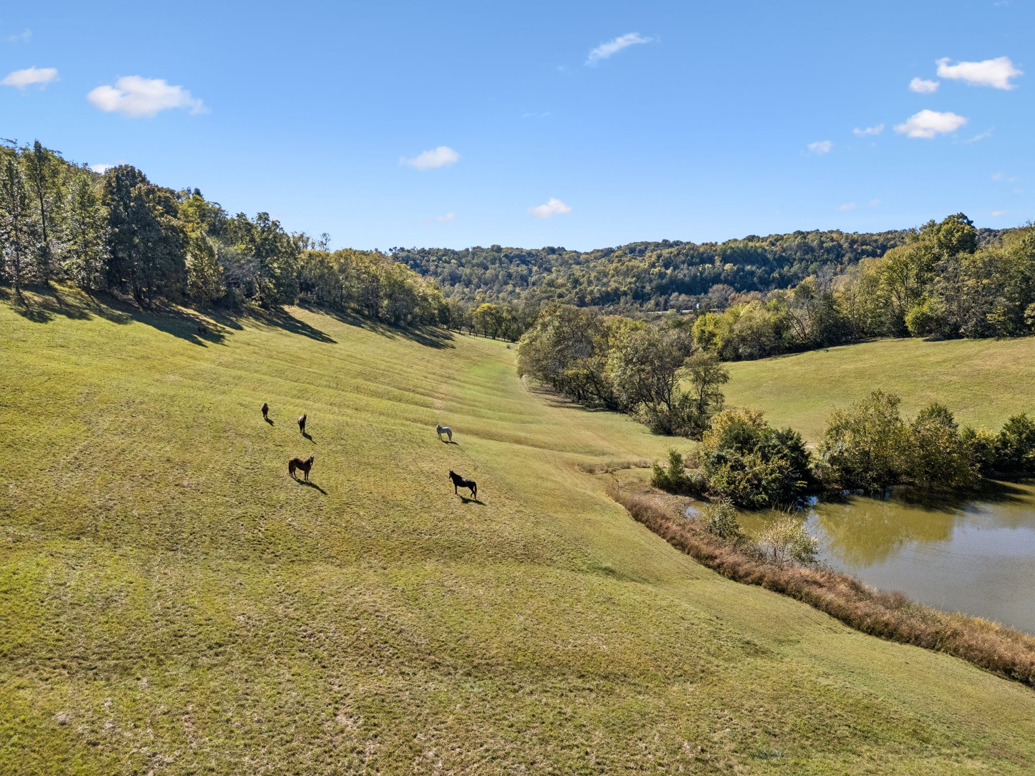 2846 Fuller Hollow Road Cornersville TN 37047