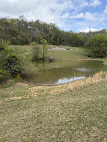 2846 Fuller Hollow Road Cornersville TN 37047