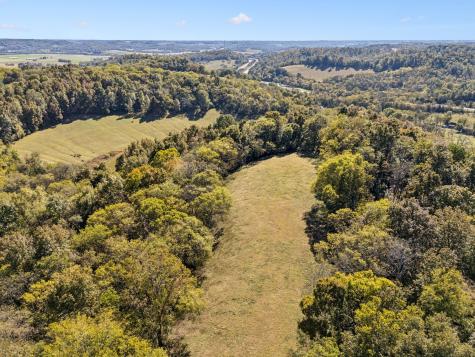 2846 Fuller Hollow Road Cornersville TN 37047