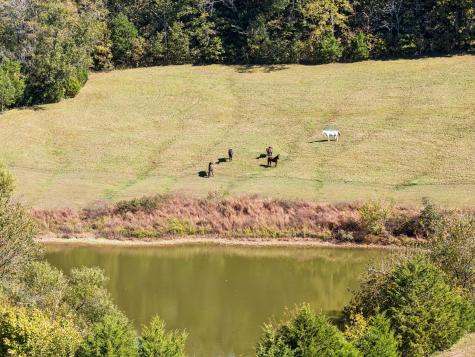2846 Fuller Hollow Road Cornersville TN 37047