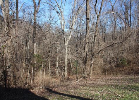 1000 Mayes Road Kingston Springs TN 37082