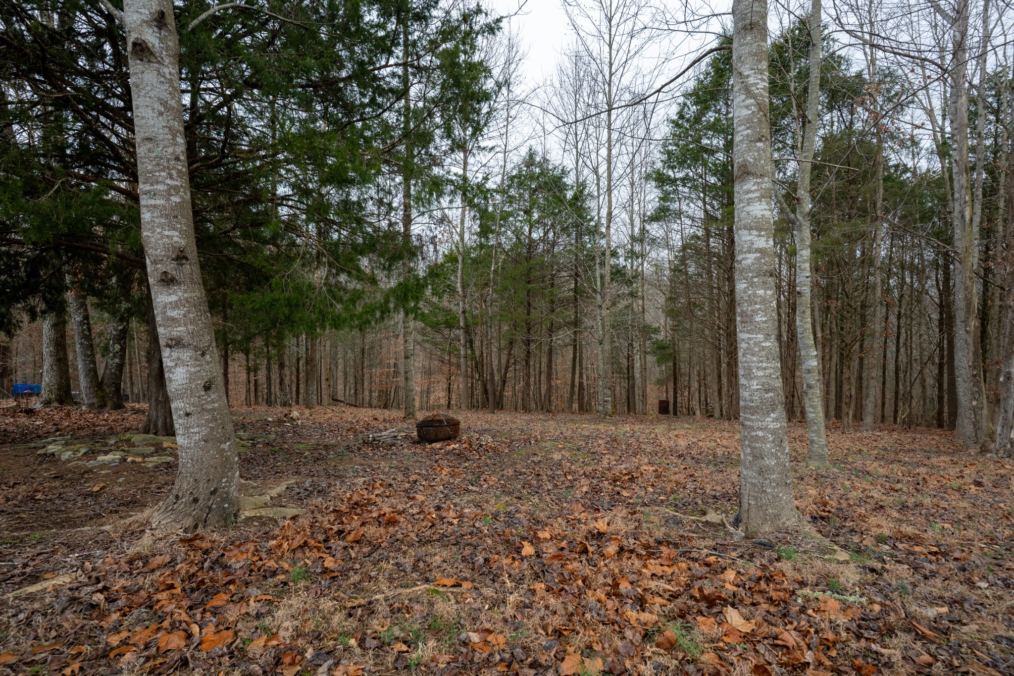 828 Kirbytown Road Lafayette TN 37083