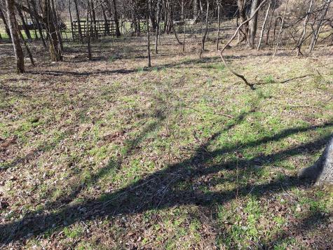 0 Hurricane Creek Road E Auburntown TN 37016