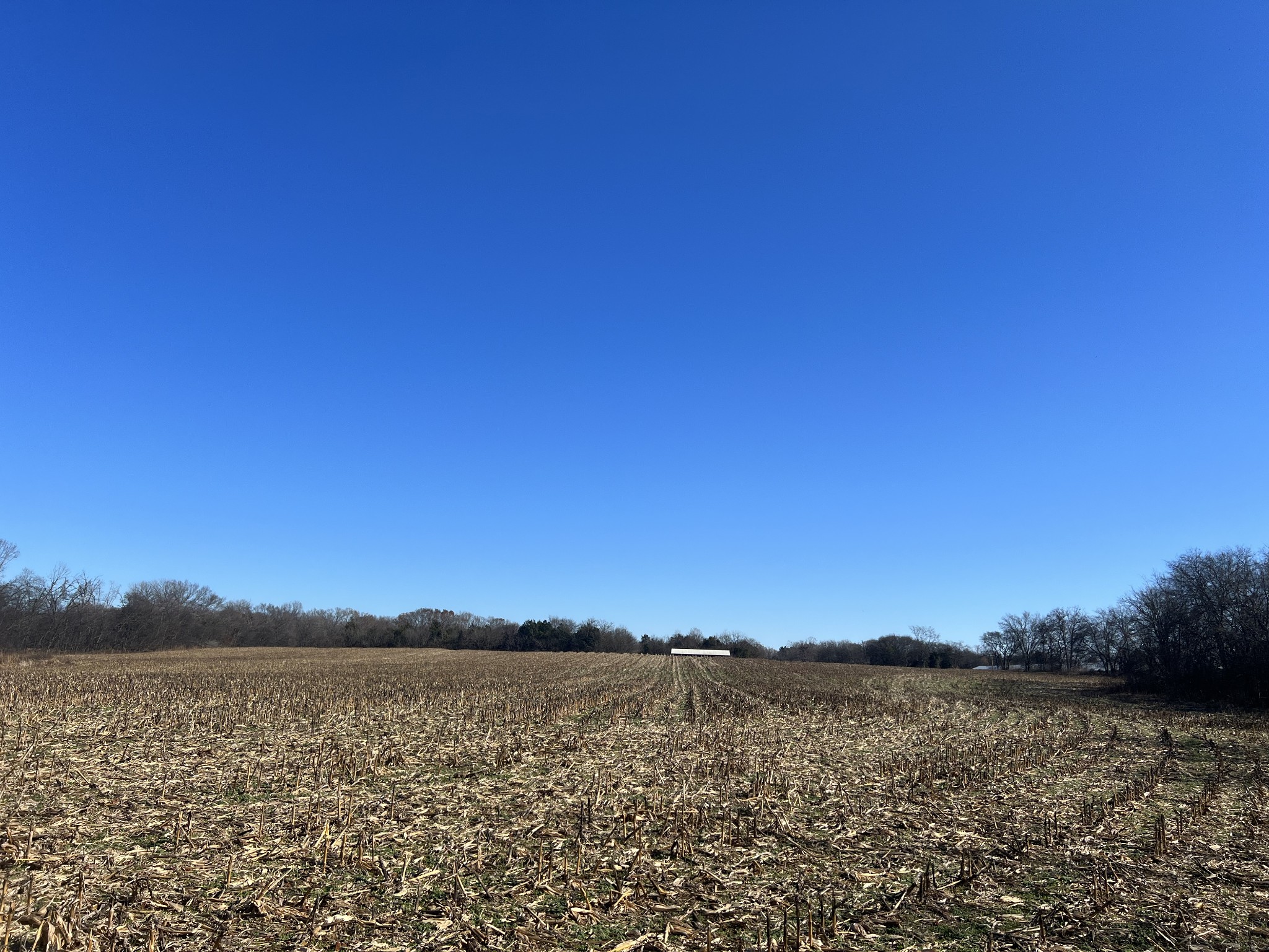 0 Frank Martin Road Shelbyville TN 37160