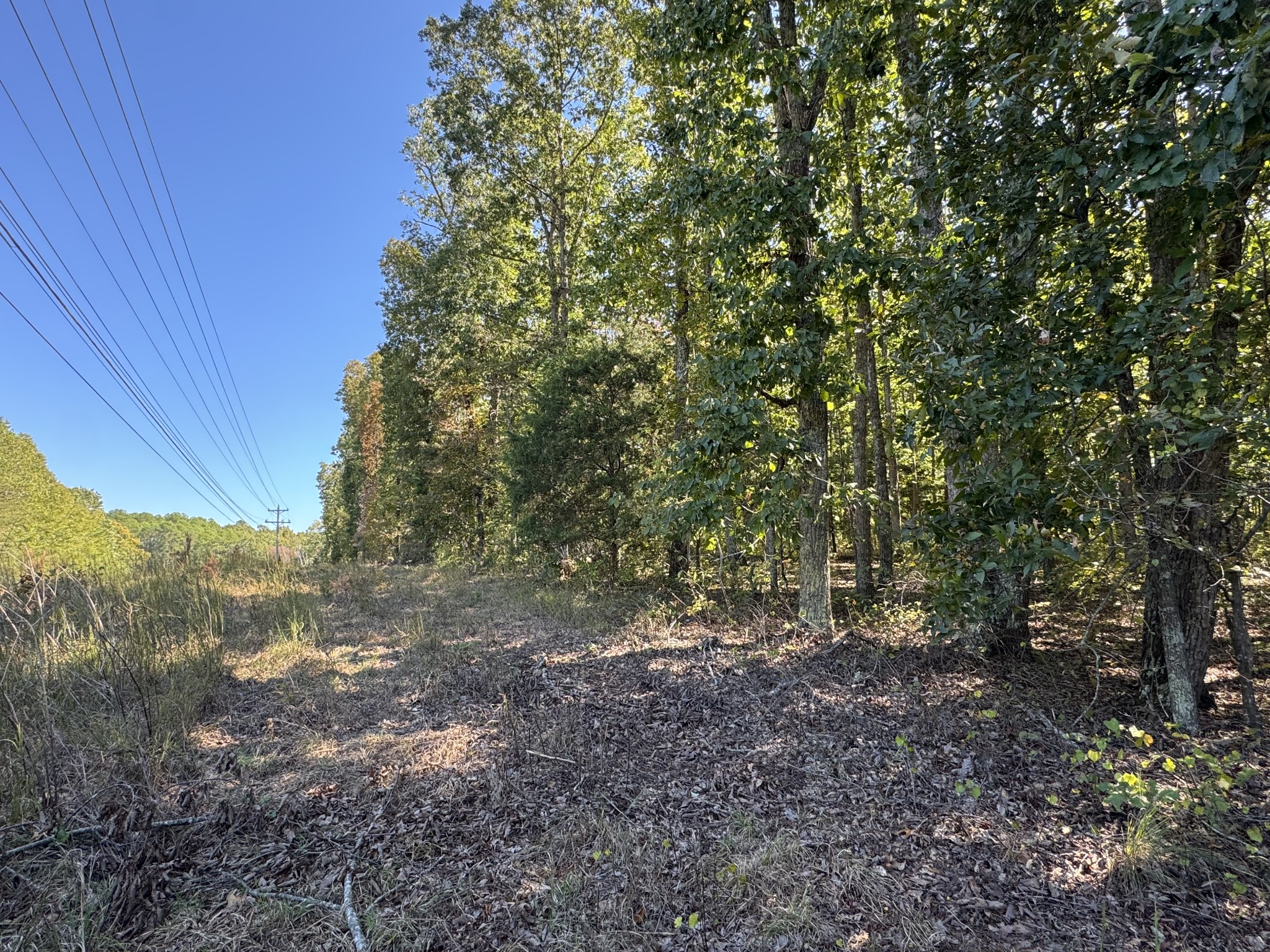 0 Highway 100 Centerville TN 37033