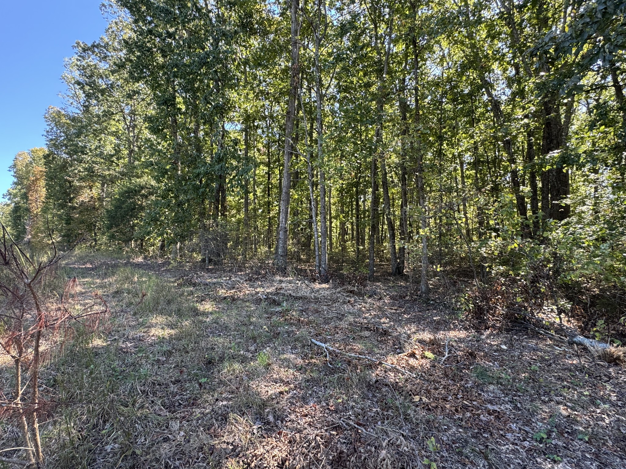 0 Highway 100 Centerville TN 37033