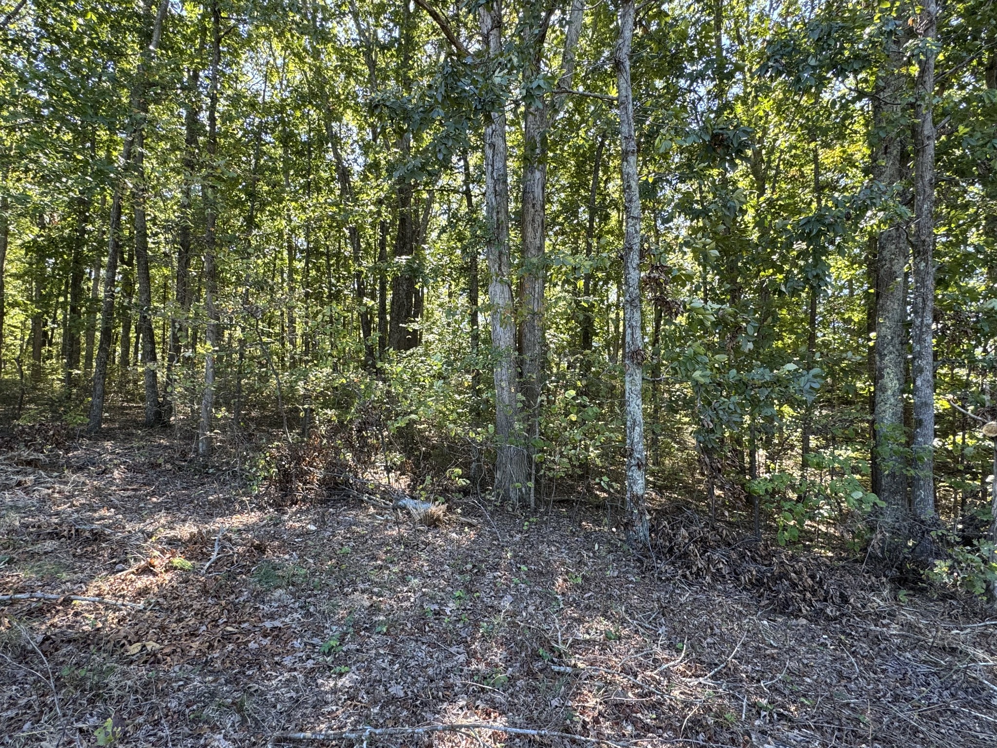 0 Highway 100 Centerville TN 37033