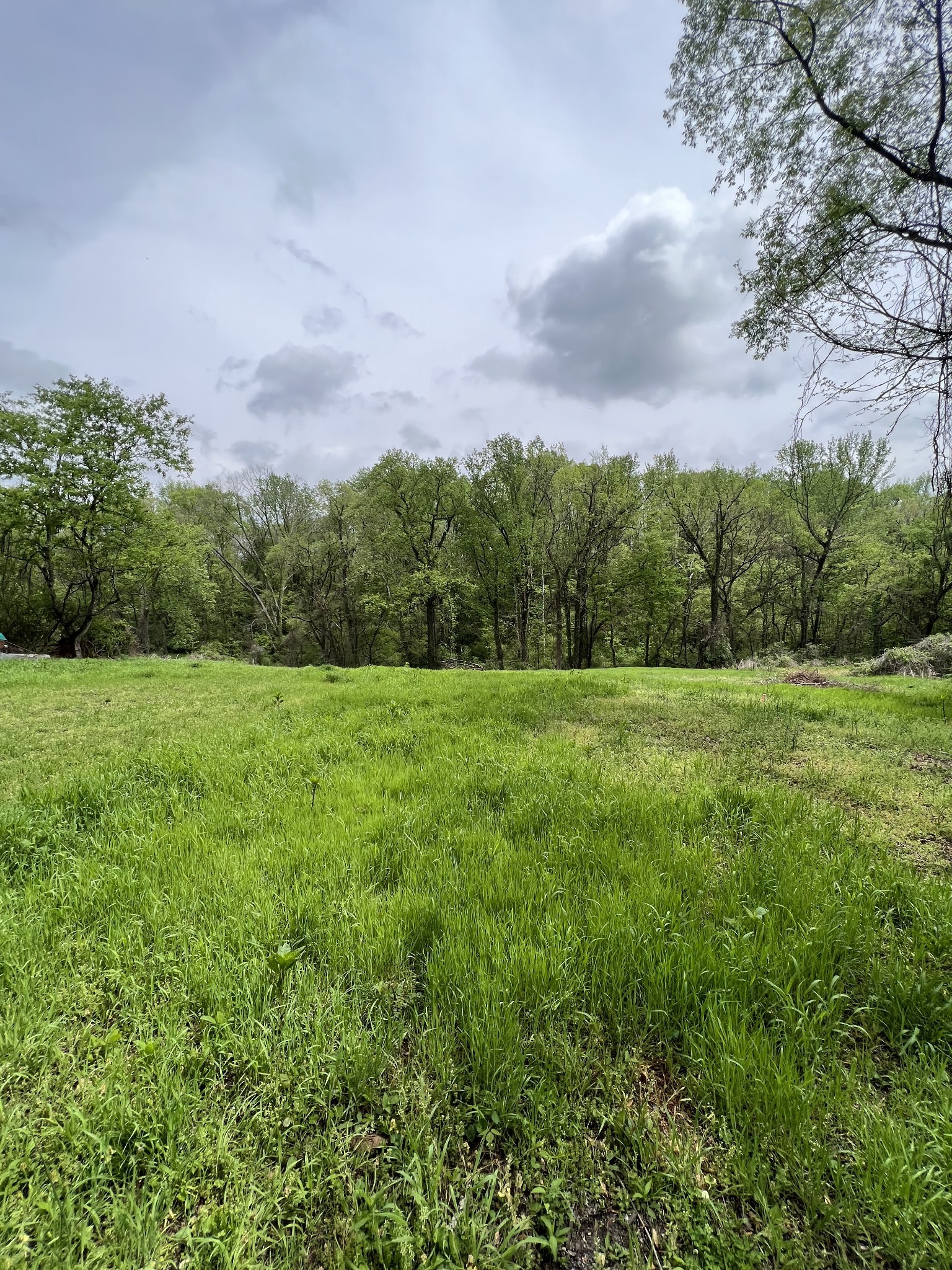 0 Bowman Street Carthage TN 37030