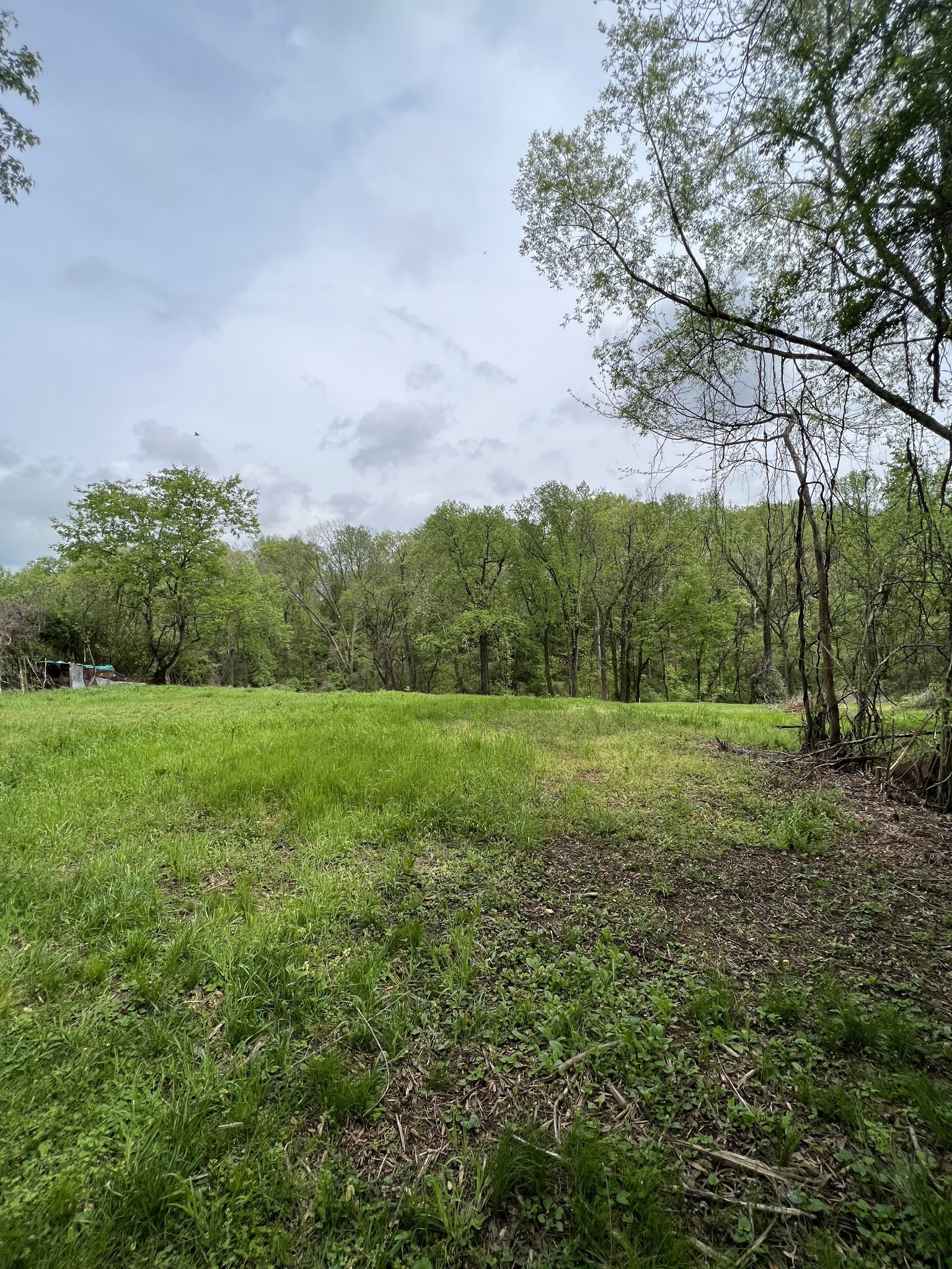0 Bowman Street Carthage TN 37030