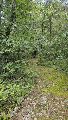 345 Lock 5 Road Lebanon TN 37087