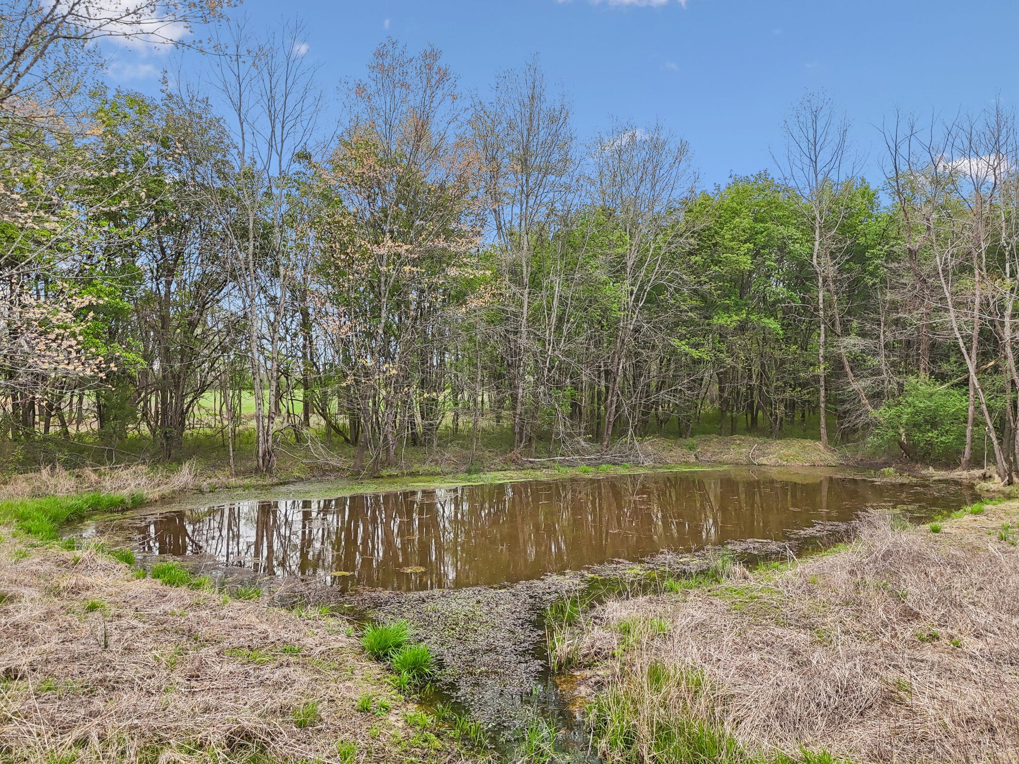 0 Haddon Lane Winchester TN 37398
